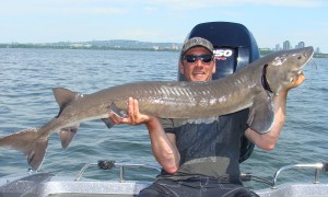 Fishing Old Montreal, Our experience St-Lawrence river